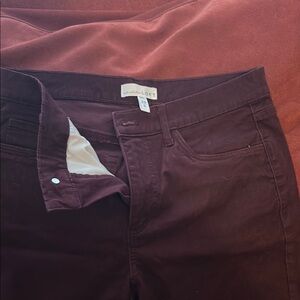 LOFT Deep Burgundy Trousers